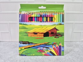 Pack 24 lapices colores economicos caja verde